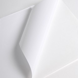 V3001WG - Bianco Lucido ad permanente trasparente