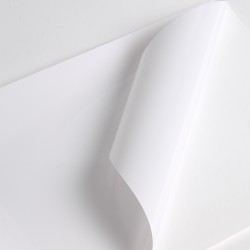 V301WG1 - Bianco Lucido ad permanente trasparente