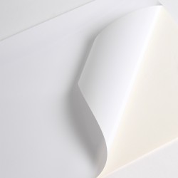 V3101WG - Bianco Lucido ad removibile trasparente