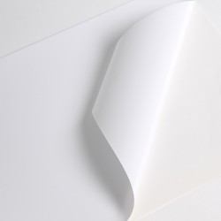 V3101WM - Bianco Opaco ad removibile trasparente
