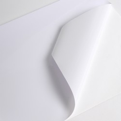 VCXR201WG1 - Bianco Brillo ad permanente extra rinforzato trasparente
