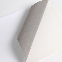 V200WM1 - Bianco Opaco ad permanente grigio