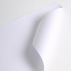 PM150V2 - Carte Bianco Opaco realizzazione di poster