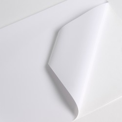 V211WG1 - Bianco Lucido ad removibile trasparente