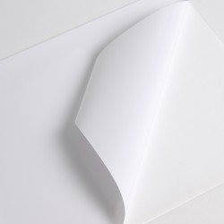 HX201WG2 - Bianco Lucido ad permanente transparente